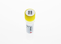 10x菌落菌液PCR增强剂-PR304