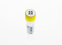 10x菌落菌液PCR增强剂-PR304