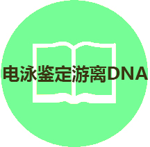 技术手册：琼脂糖凝胶电泳鉴定游离DNA